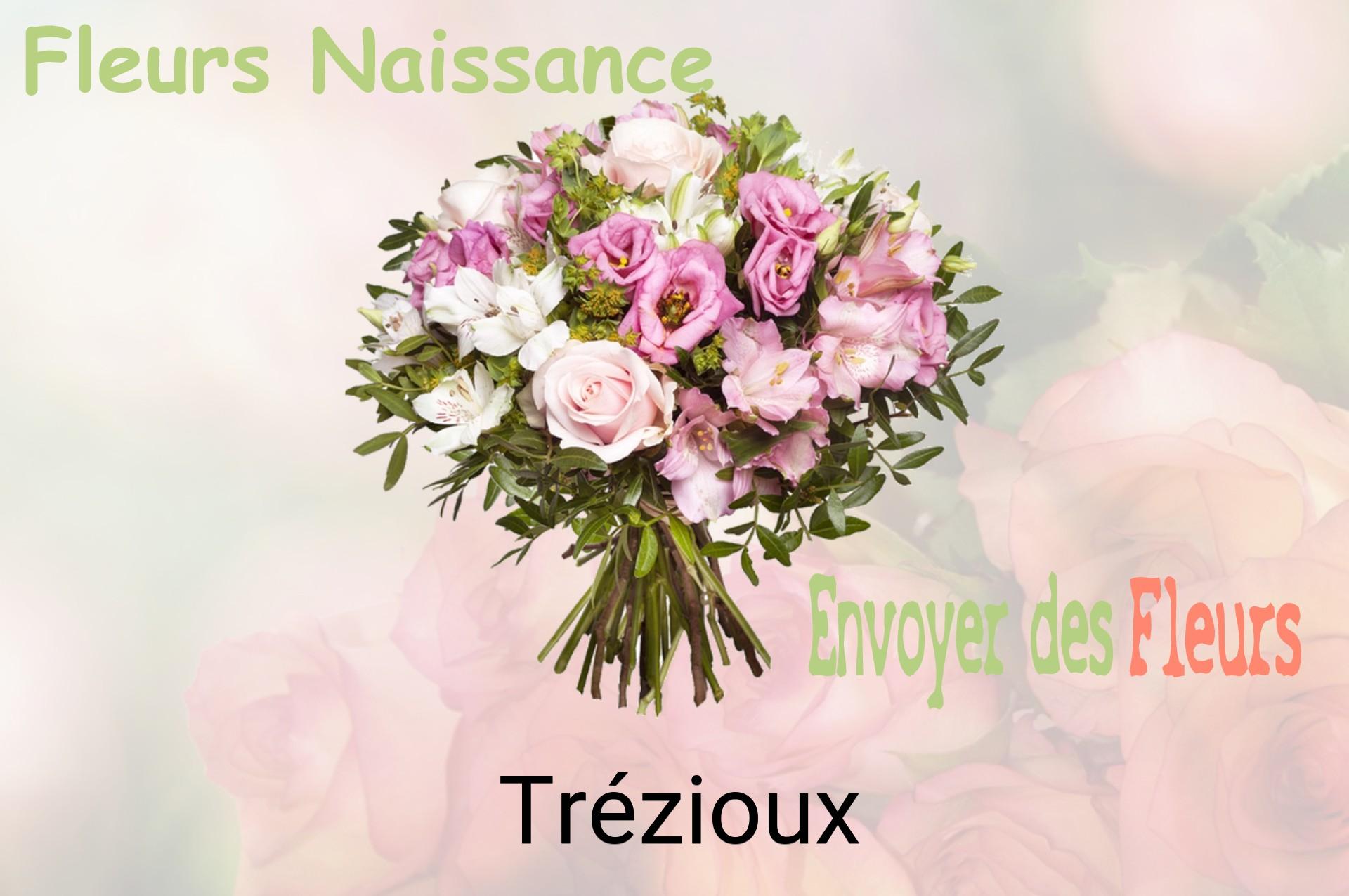 Bouquet de fleurs de naissance livré à Trézioux