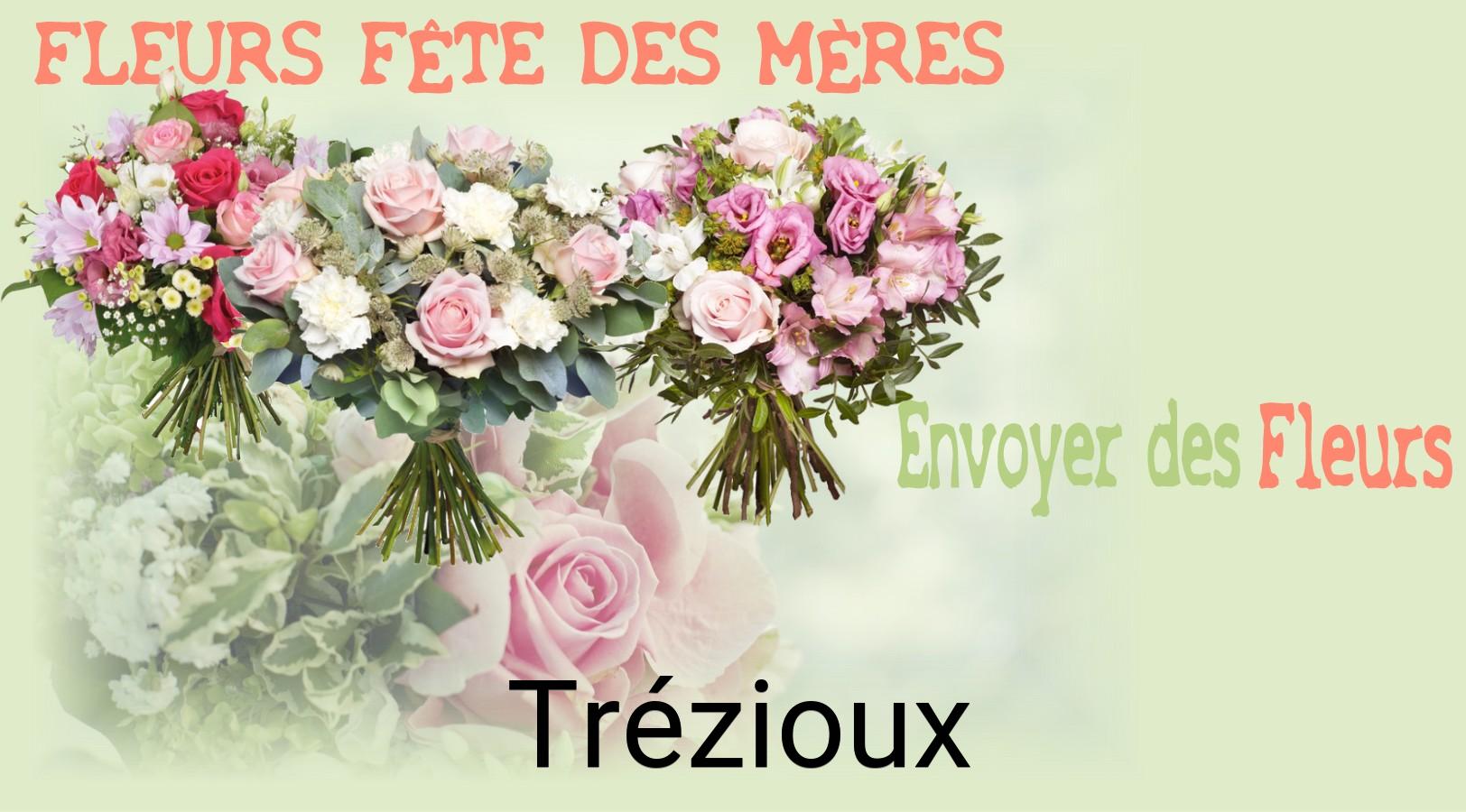 Bouquet de Fête des Mères livré à Trézioux